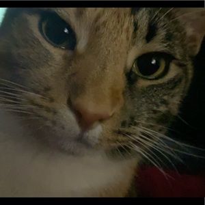 Meet your Posher, Benjamin